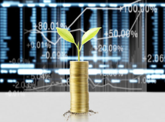 Gold coins stacked as a graph, with a plant growing from the tallest pile